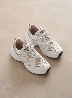 100 Sneakers><noscript><img data-lazyloaded=