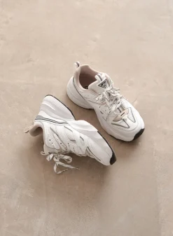 100 Sneakers><noscript><img data-lazyloaded=